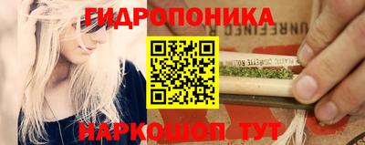 мдпв Татарск